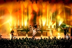 ft-gallery-bush-1