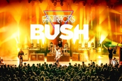 ft-gallery-bush-3